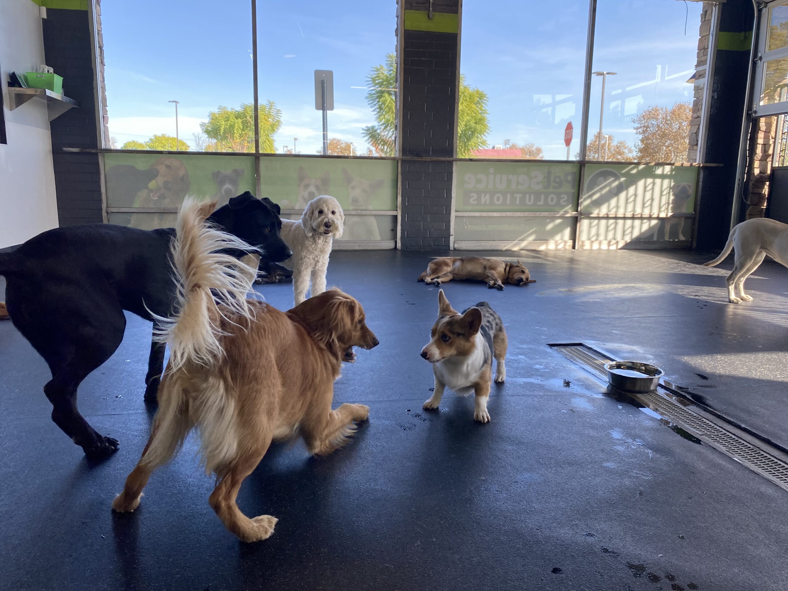 Daycare and Group Play